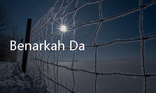 Benarkah Danantara Dikhawatirkan Kebal Hukum? Andre Rosiade Bilang Begini
