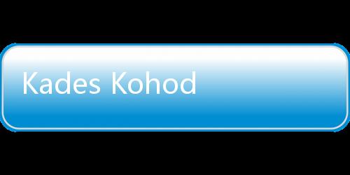Kades Kohod Resmi Ditahan, Kuasa Hukum Arsin Ajukan Penangguhan Penahanan