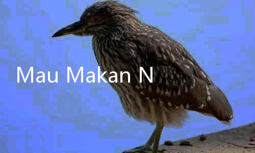 Mau Makan Nasi Saat Diet? Ini Beras Terbaik untuk Turun Berat Badan