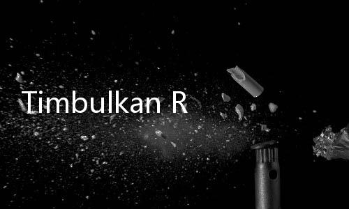 Timbulkan Rasa Cemburu, PMJ Keluarkan Aturan Polisi Tak Boleh Mengawal Moge